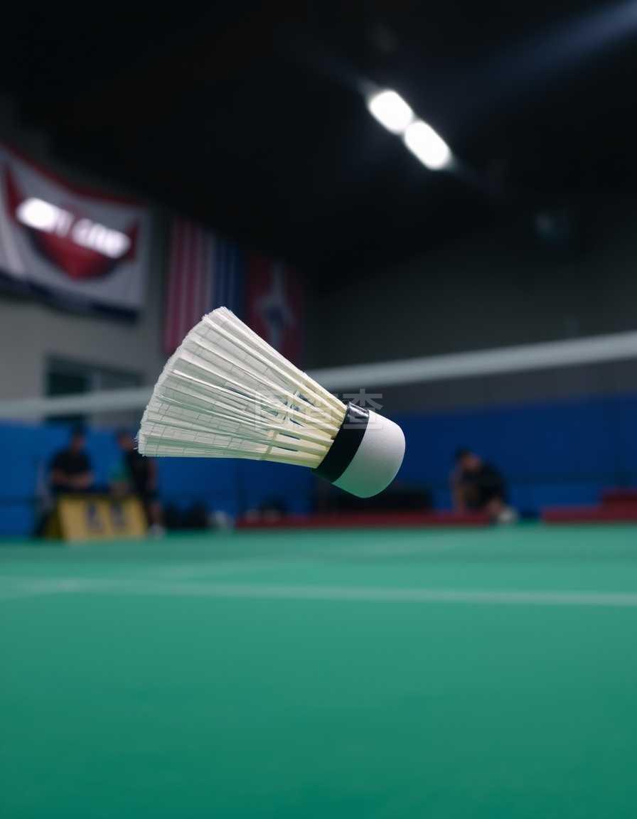 比赛中占据 比赛中占据