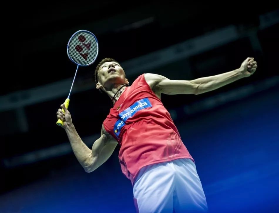 凭借华丽的 凭借华丽的