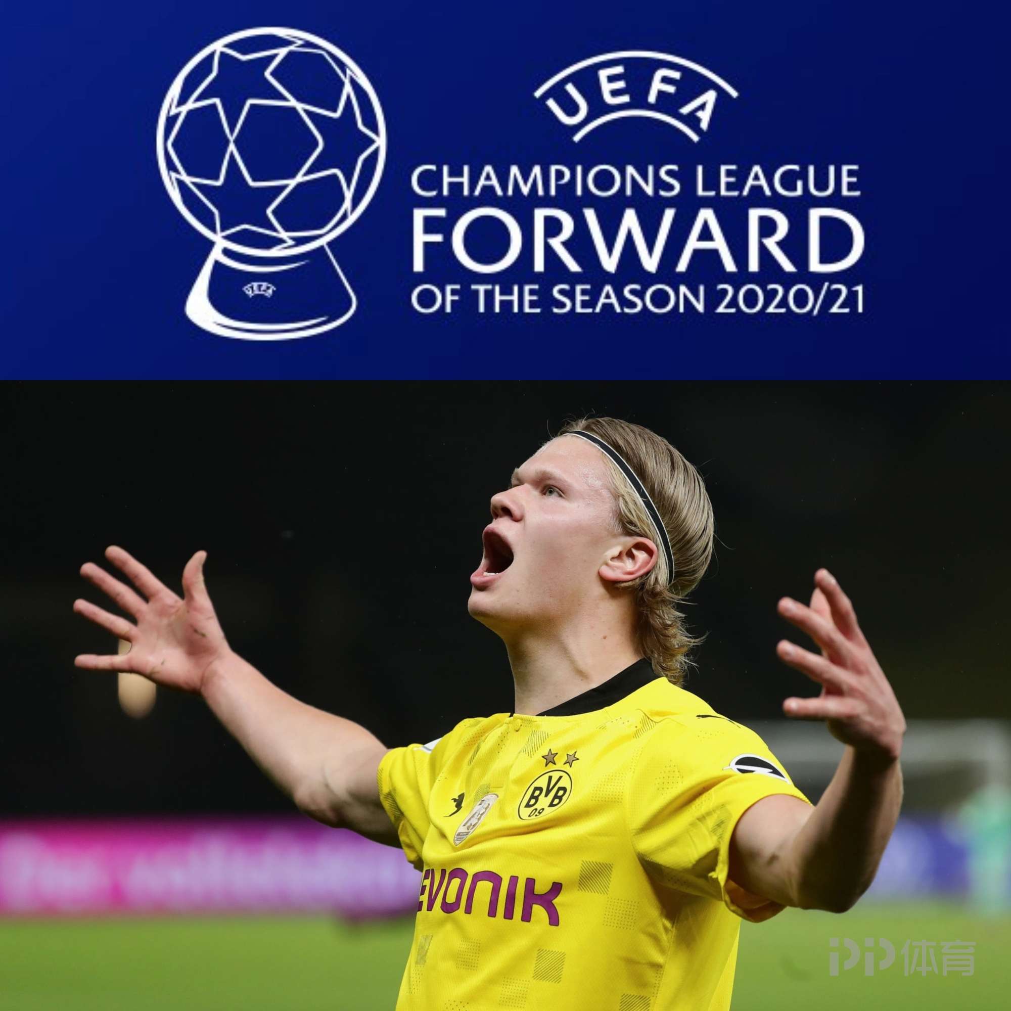 篮板和犯规 篮板和犯规