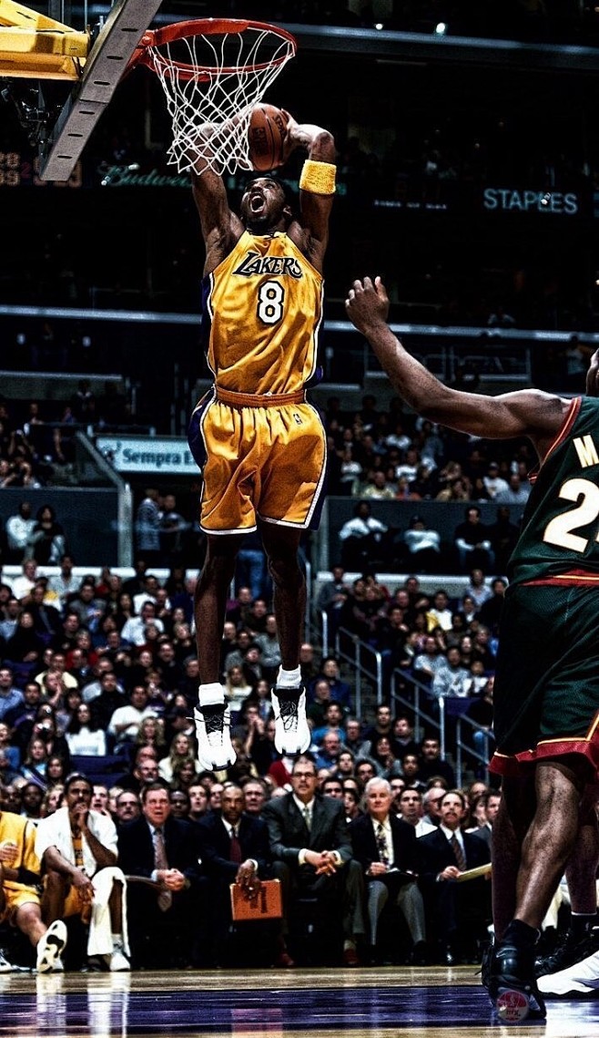 女单及可能 女单及可能