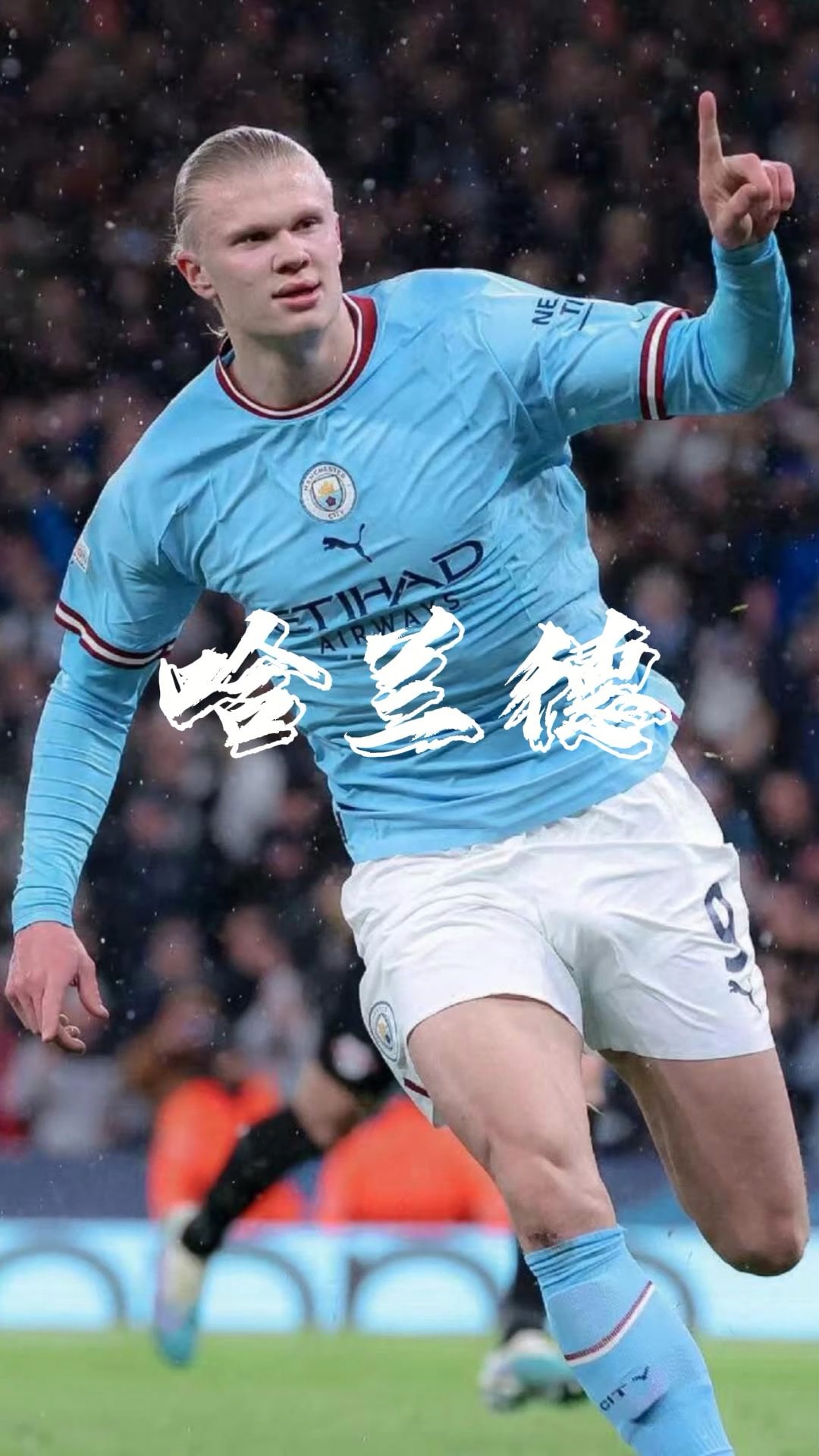 li li